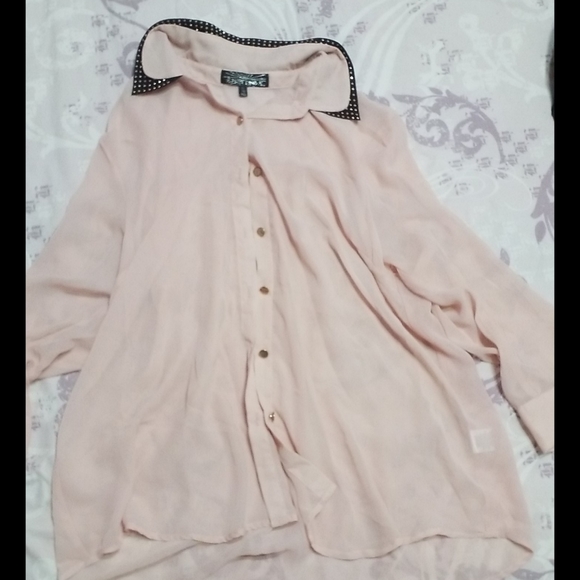 Almost Famous Tops - Sheer blush blouse